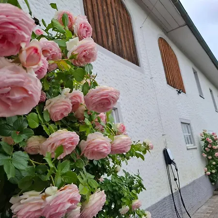 Bierhotel Ranklleiten Almtal *